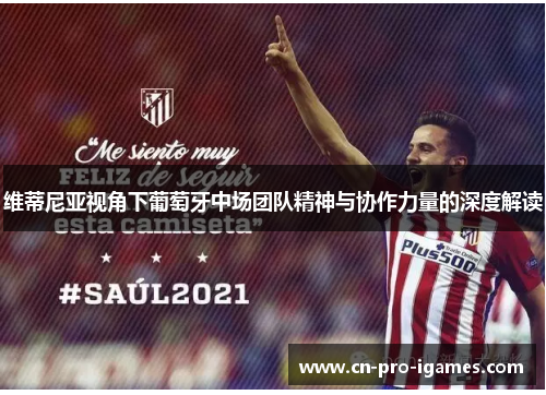 维蒂尼亚视角下葡萄牙中场团队精神与协作力量的深度解读