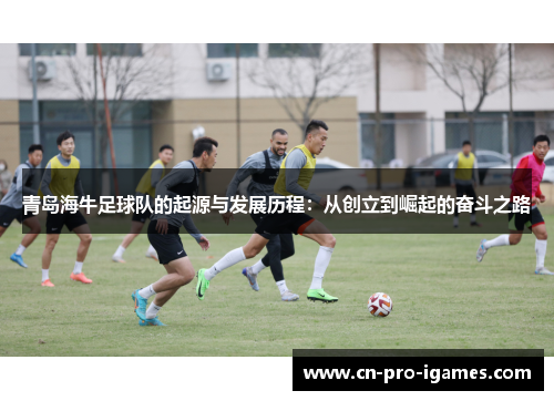 青岛海牛足球队的起源与发展历程:从创立到崛起的奋斗之路 青岛海牛足球队的起源与发展历程:从创立到崛起的奋斗之路