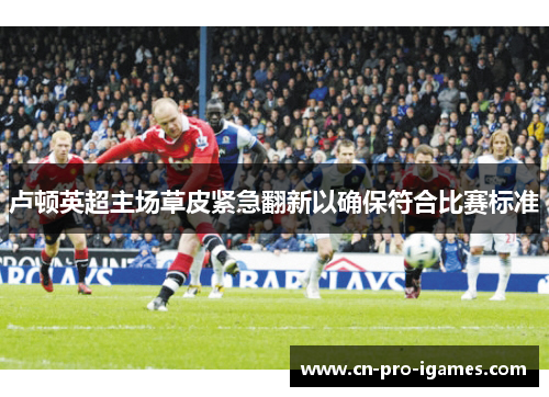 卢顿英超主场草皮紧急翻新以确保符合比赛标准